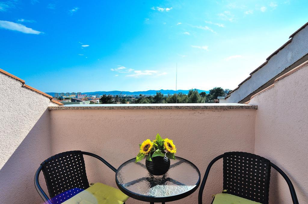 Lavandula Zadar